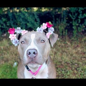 Meet your Posher, Tabatha